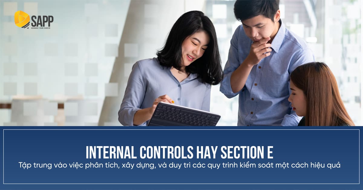 Internal Controls hay Section E tập trung vào việc phân tích, xây dựng, và duy trì các quy trình kiểm soát một cách hiệu quả.