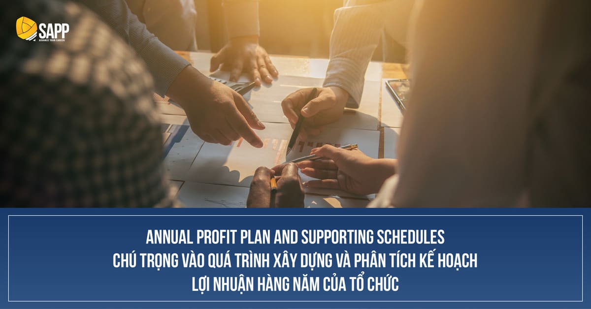 annual profit plan and supporting schedules chú trong vào quá trình xây dựng và phân tích kế hoạch lợi nhuận hàng năm của tổ chức