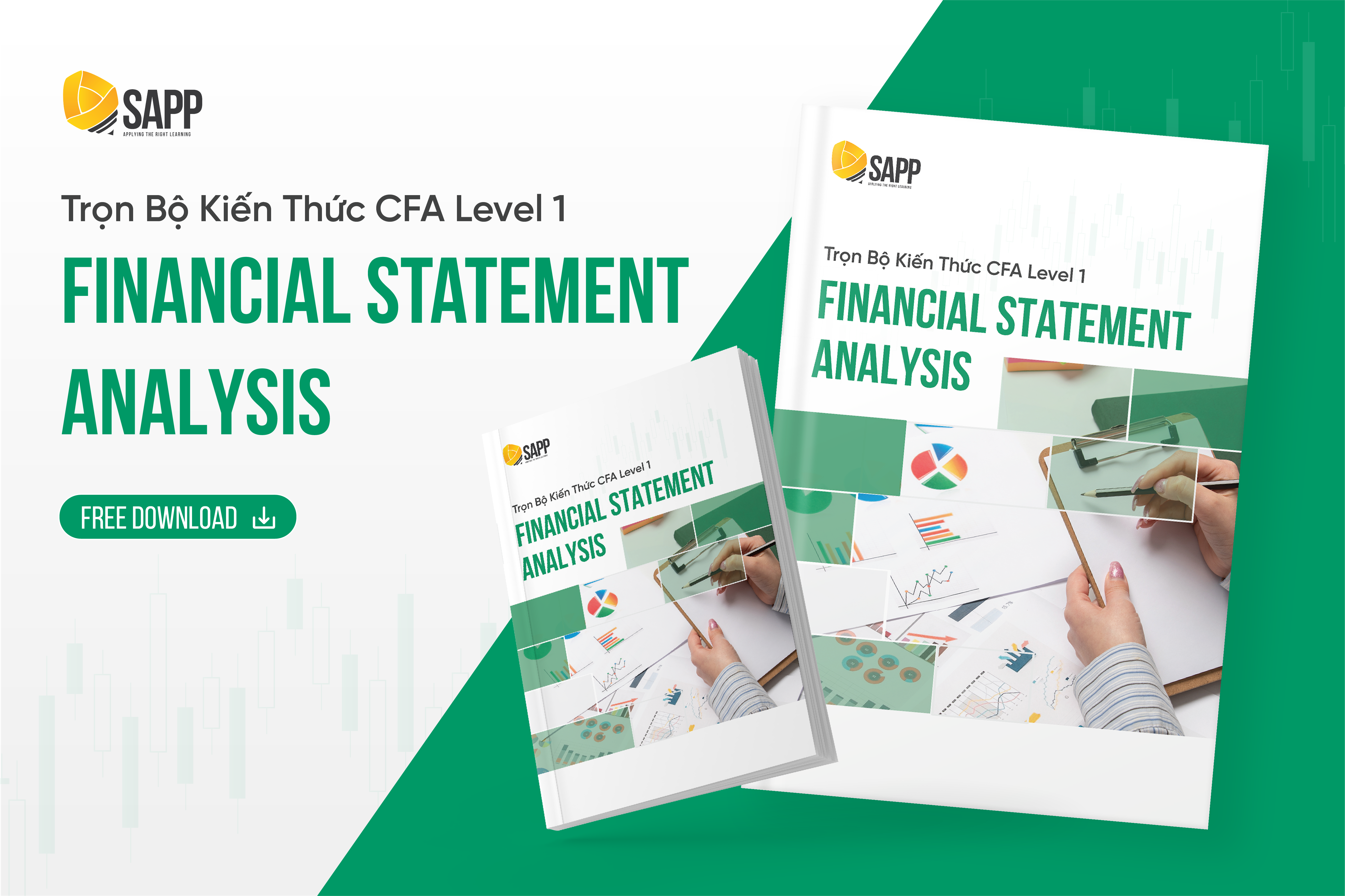 Trọn Bộ Kiến Thức CFA Level 1: Financial Statement Analysis