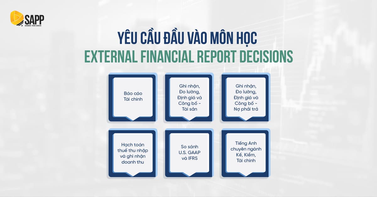 external financial report decisions yêu cầu đầu vào
