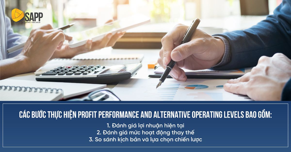 Profit performance and alternative operating levels