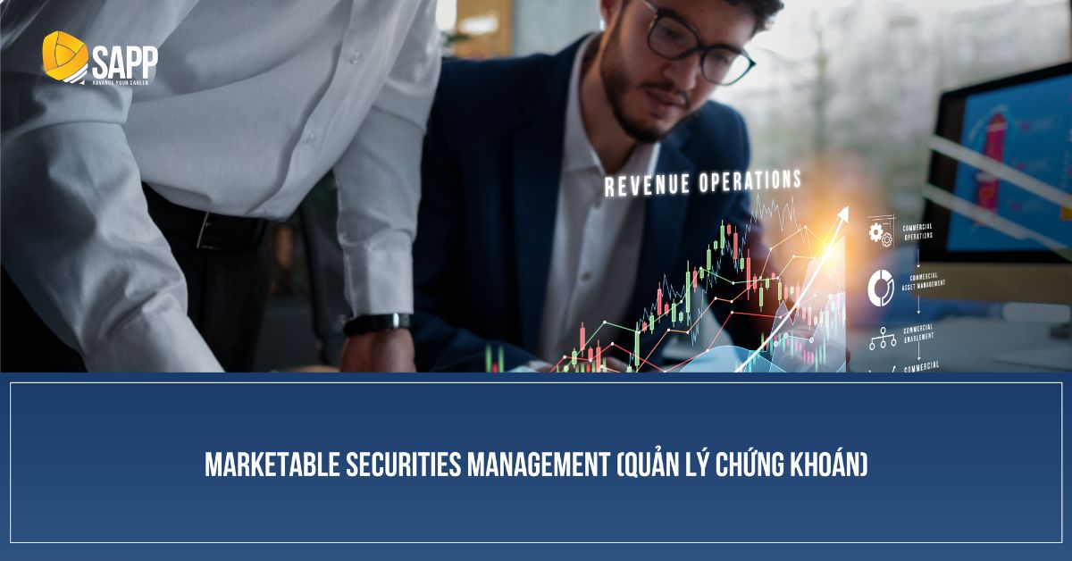 Marketable securities management 