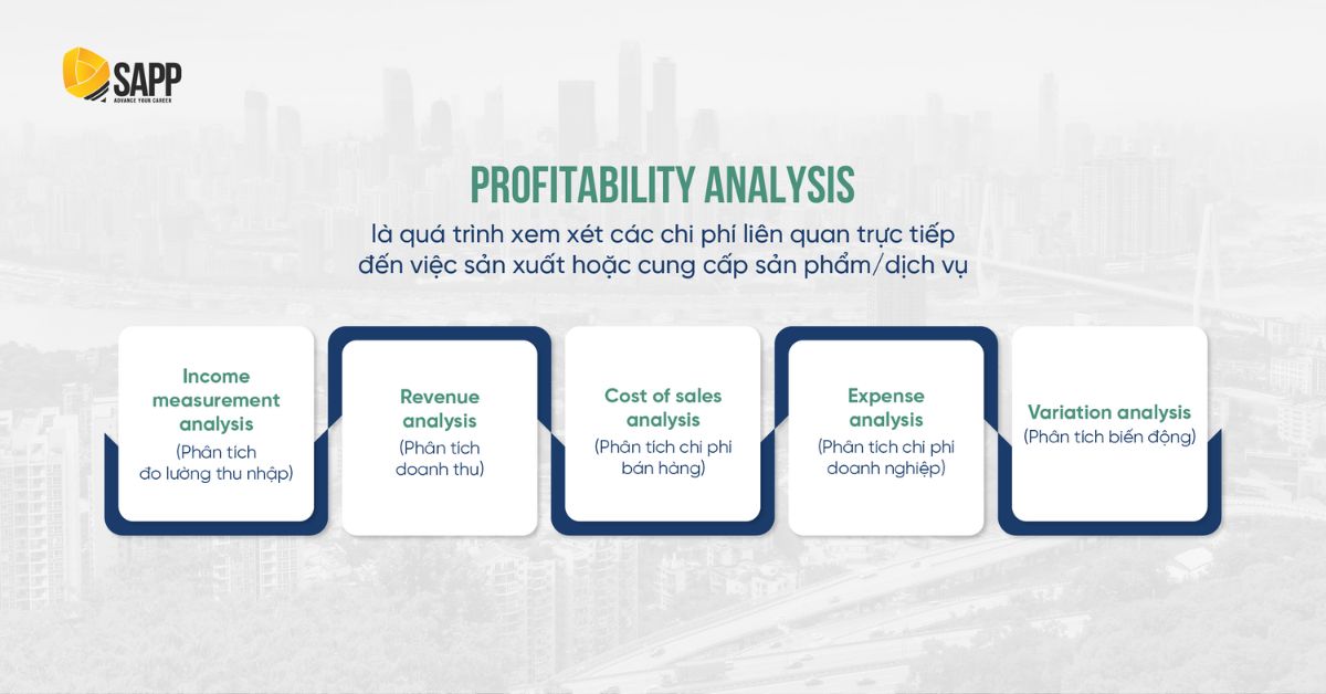 Profitability analysis