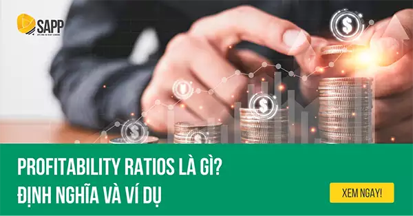 #1 Profitability ratios là gì? Định nghĩa và ví dụ | SAPP