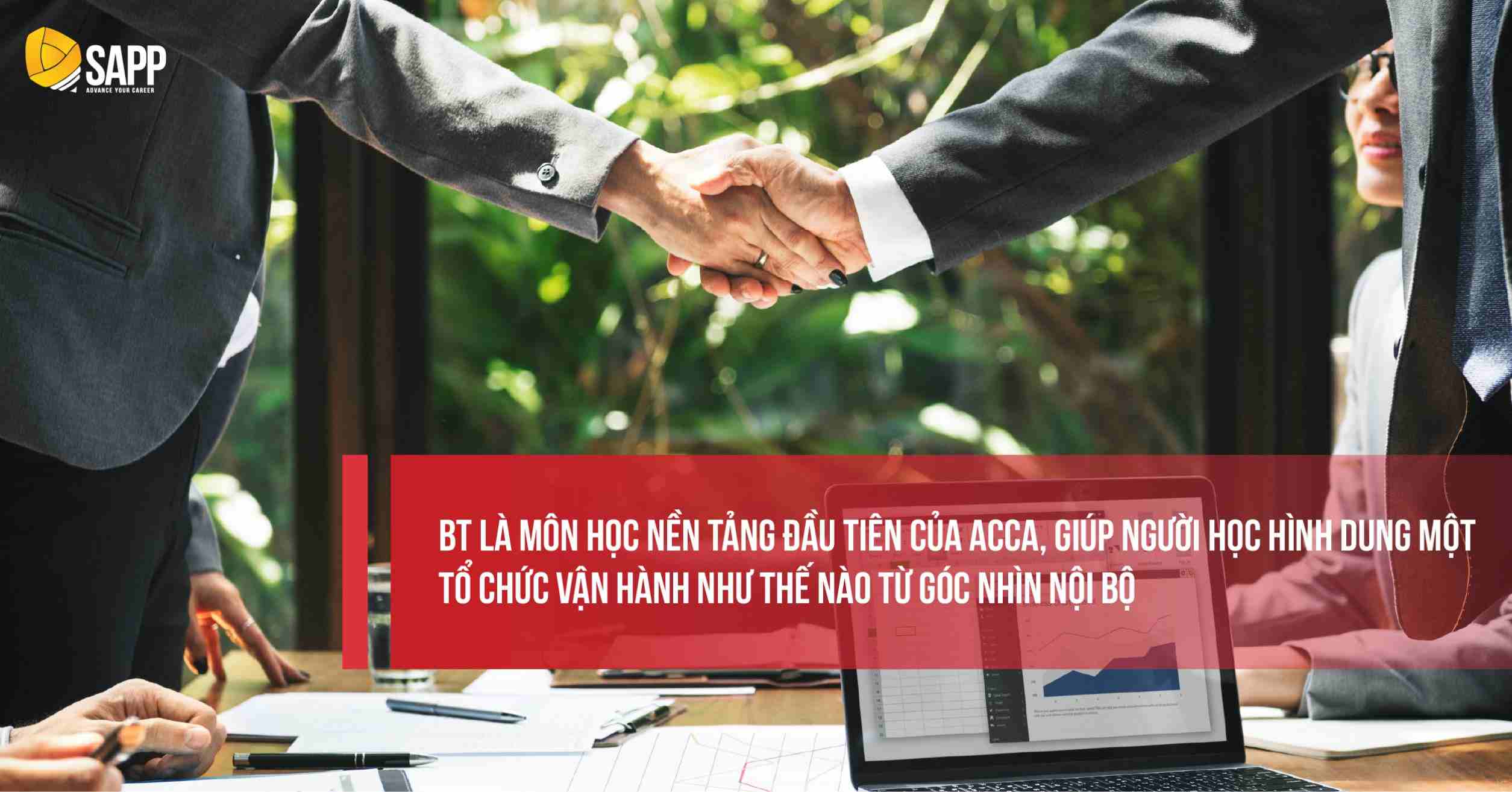 ACCA có bao nhiêu môn? Môn học nền tảng BT 