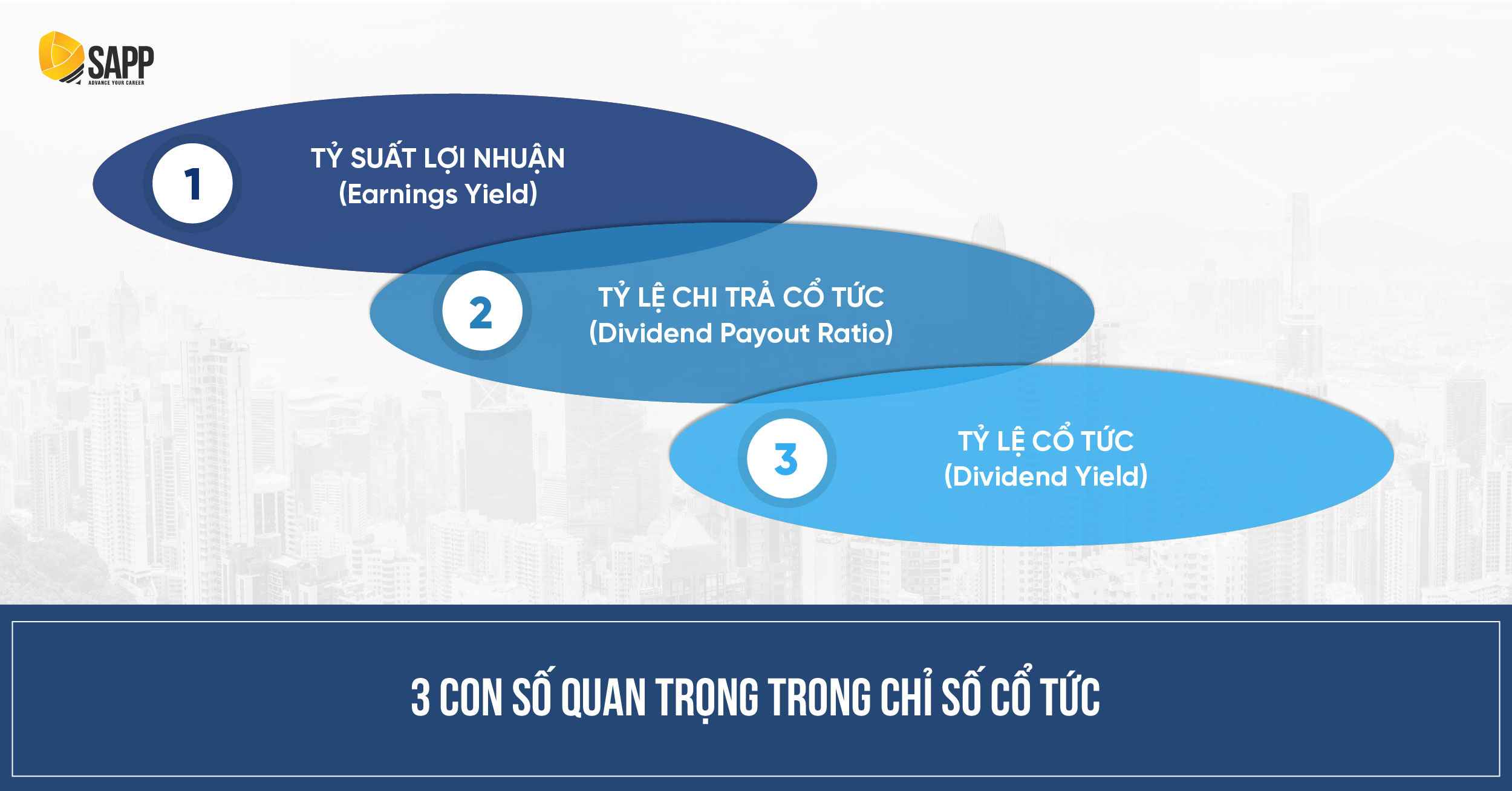 3 con số quan trọng trong chỉ số chi trả cổ tức 