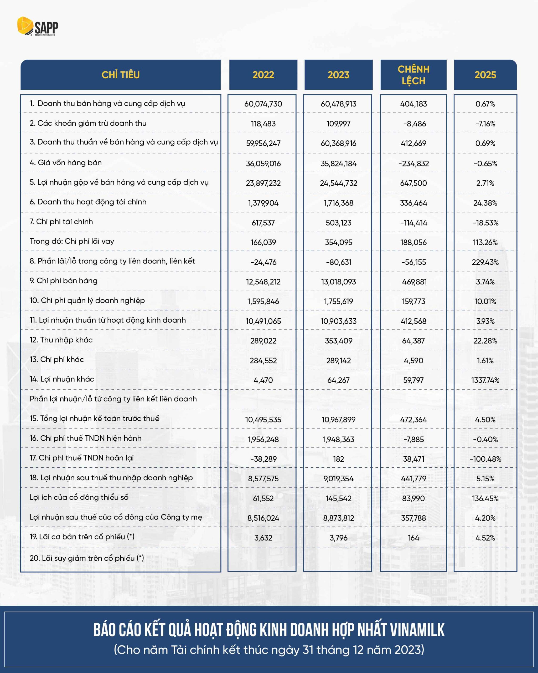 Mẫu báo cáo kết quả hoạt động kinh doanh trong một báo cáo tài chính doanh nghiệp