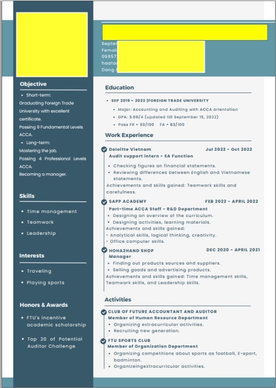 Mẫu CV Big4 độc quyền tại SAPP Mẫu CV Big4 độc quyền tại SAPP