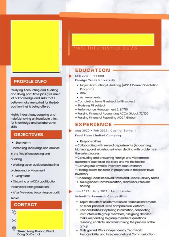 Mẫu CV Big4 độc quyền tại SAPP (2)