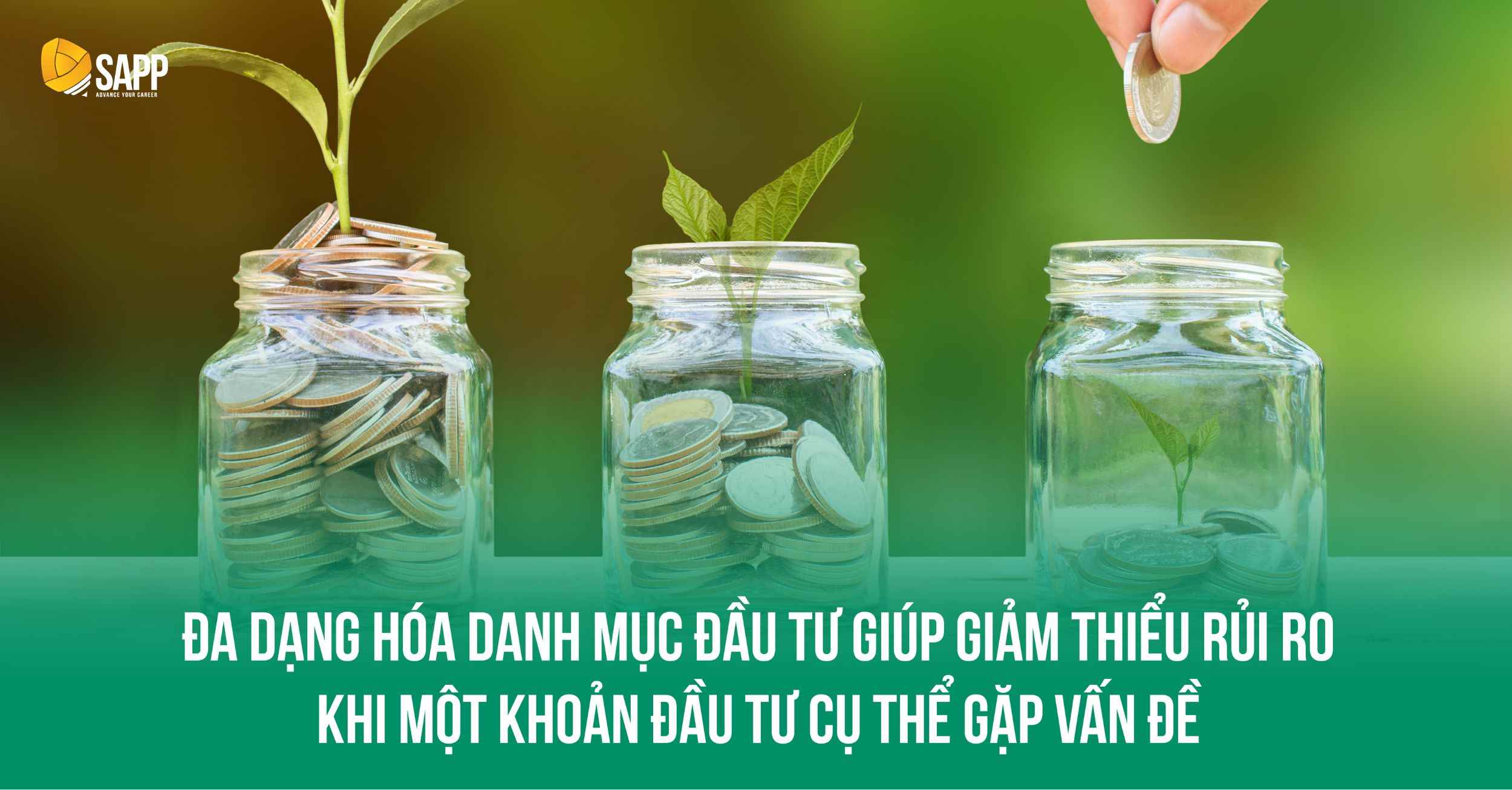 Đa dạng hóa danh mục khi đầu tư Tài chính dài hạn Đa dạng hóa danh mục khi đầu tư Tài chính dài hạn