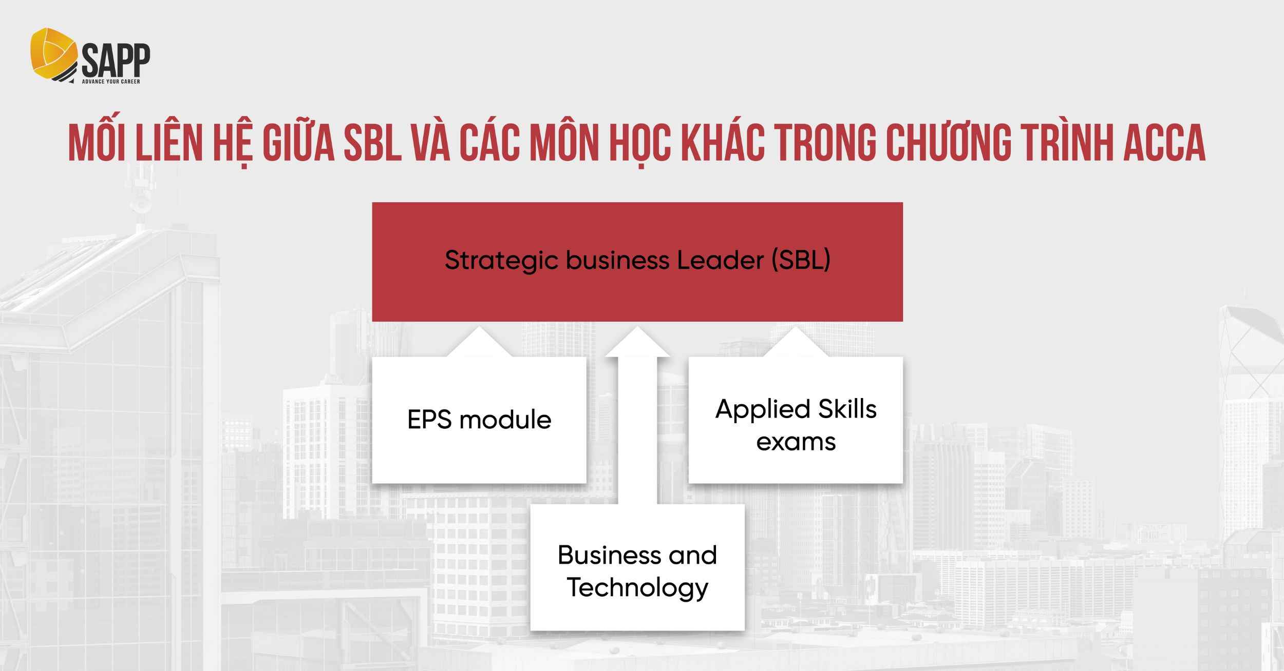 Mối liên hệ của p1p3 và các môn học khác trong chương trình ACCA