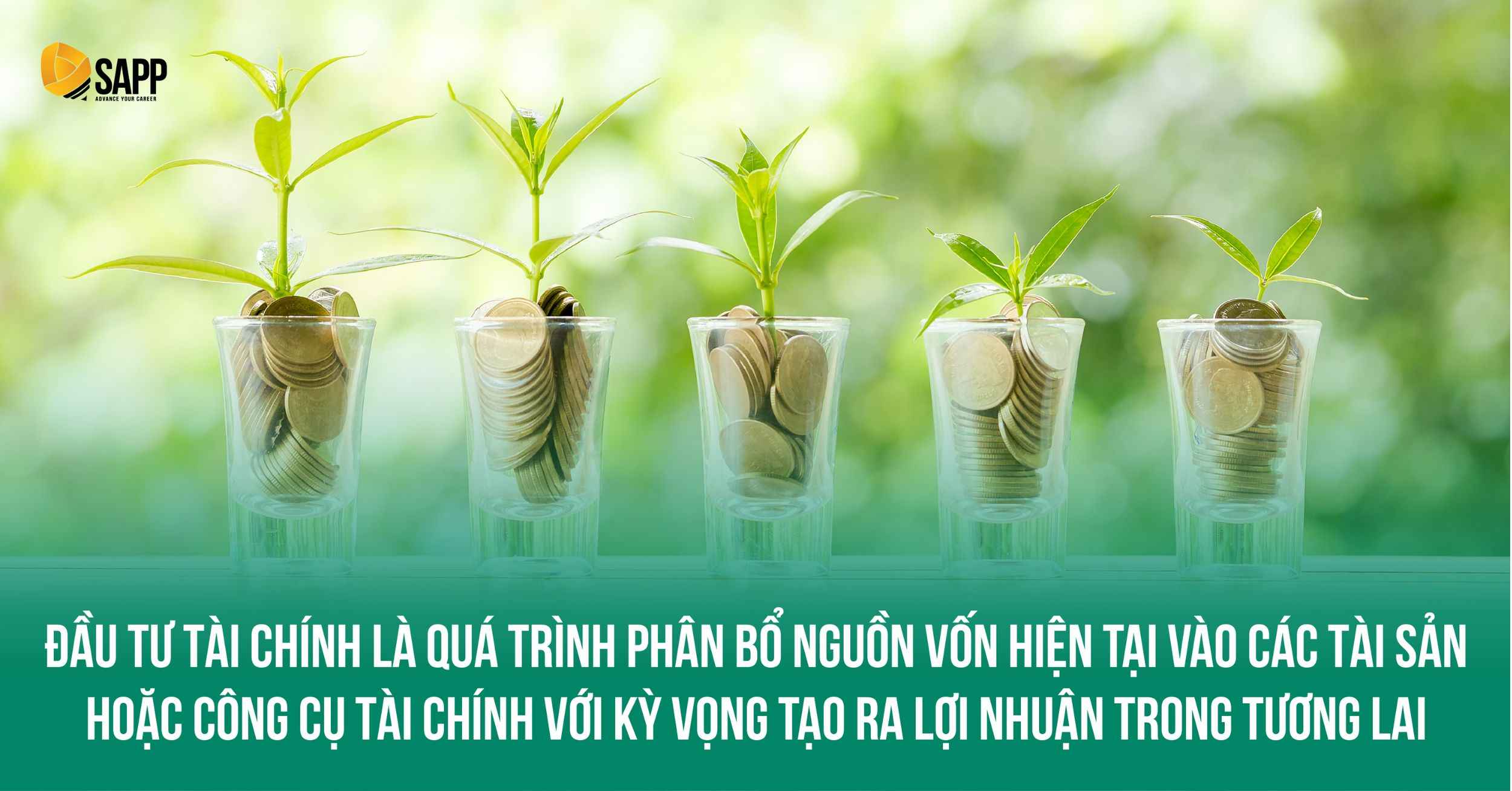 Tài chính đầu tư là gì Tài chính đầu tư là gì