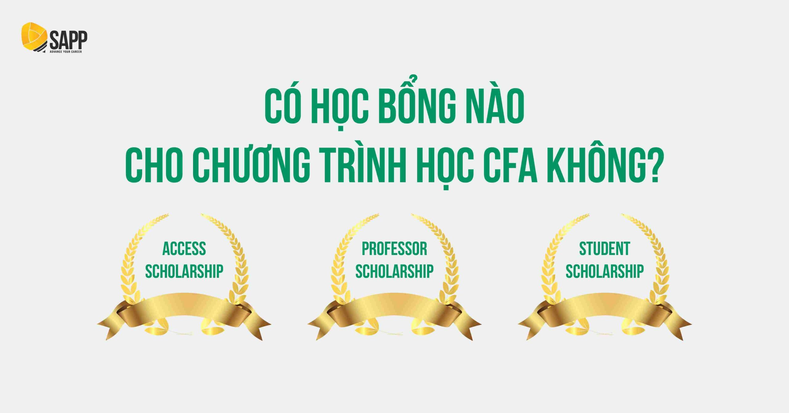 Các chương trình học bổng chính thức từ viện CFA 