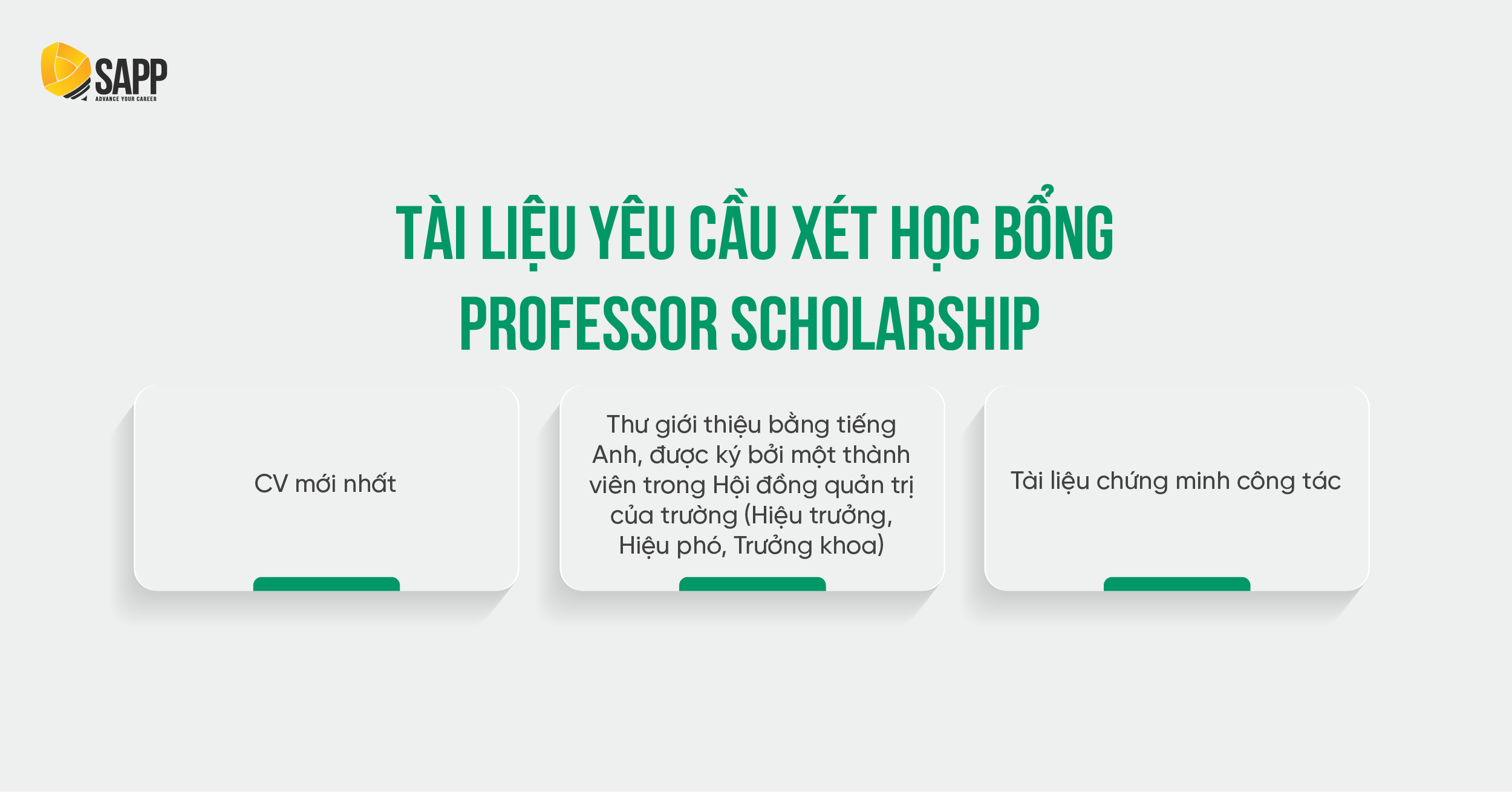 Các tài liệu/giấy tờ để xét học bổng Professor Scholarship 