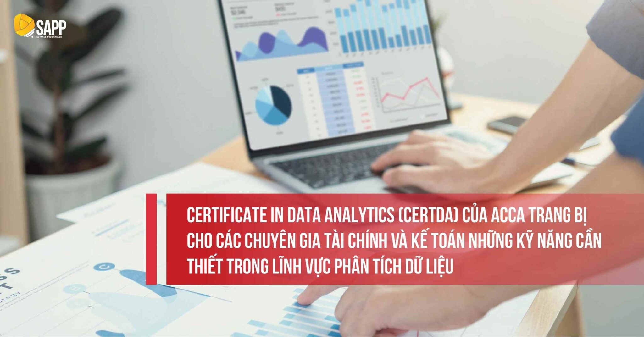 Tổng quan A - Z các chứng chỉ ACCA - 24 chứng chỉ nổi bật nhất