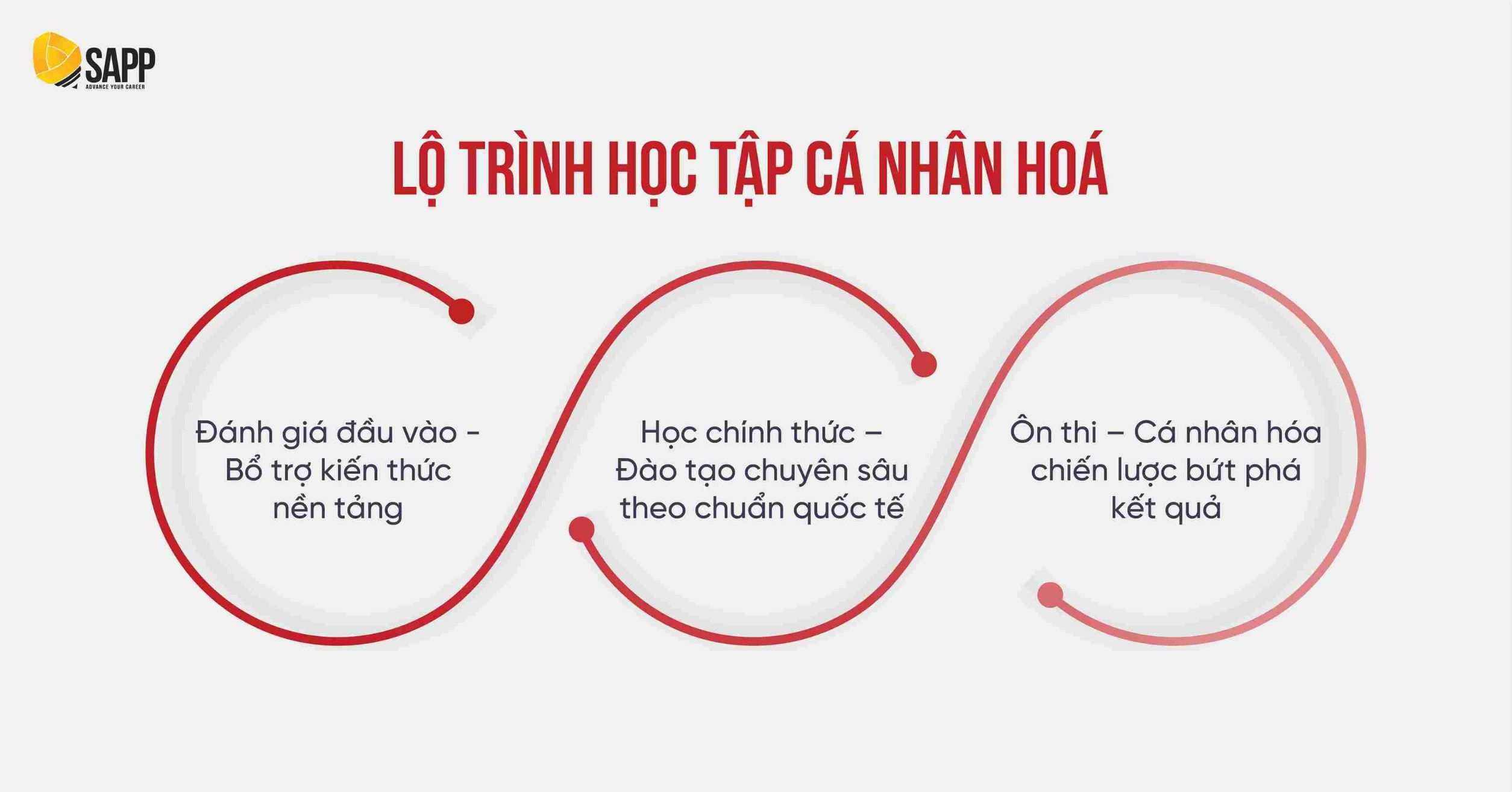 Học ACCA ở đâu TPHCM? Lộ trình học cá nhân hóa tại SAPP 