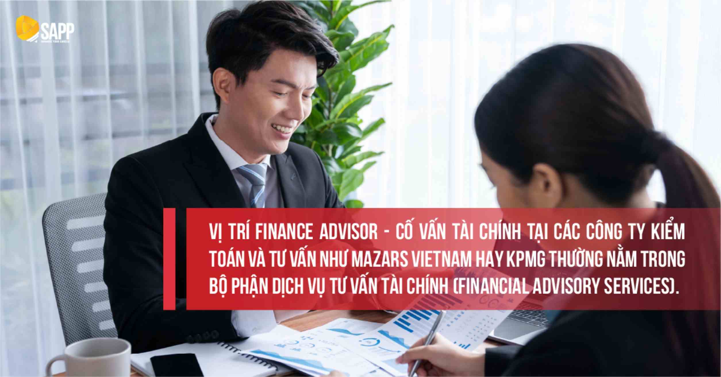 Vị trí cố vấn Tài chính (Finance Advisor) 