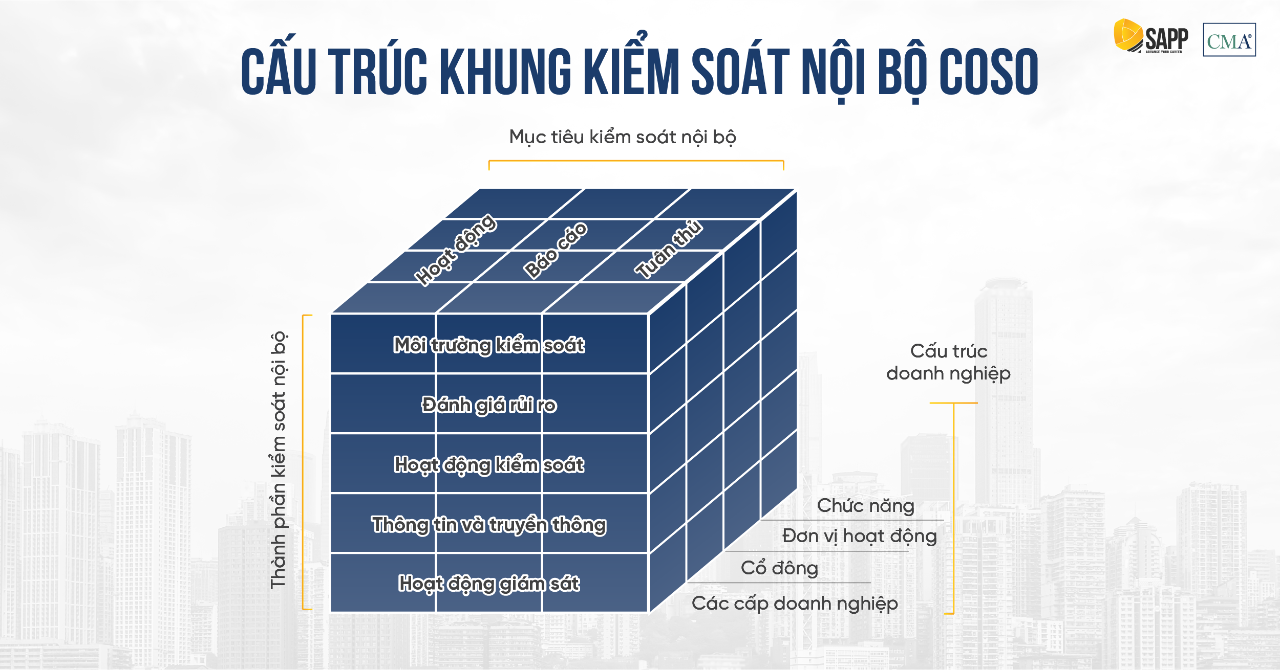 Cấu trúc khung kiểm soát nội bộ COSO
