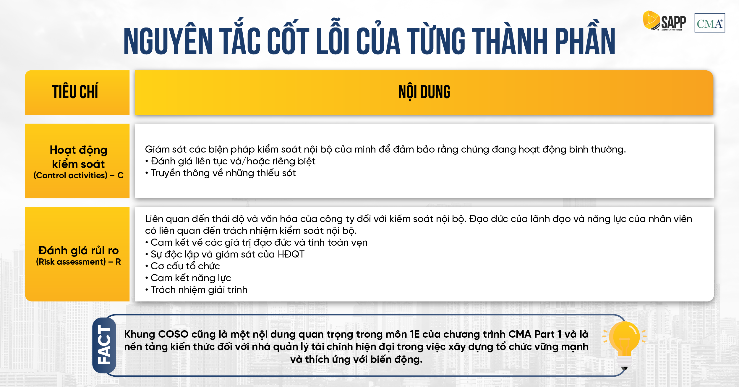 Nguyên tắc cốt lõi trong thành phần kiểm soát nội bộ-2