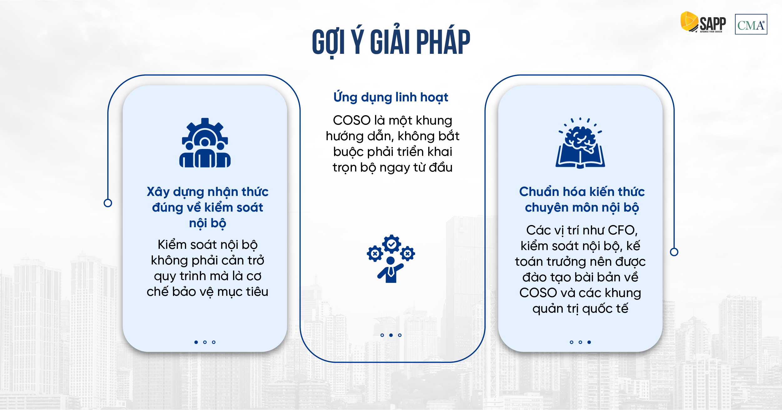 Gợi ý giải pháp khi áp dụng khung COSO