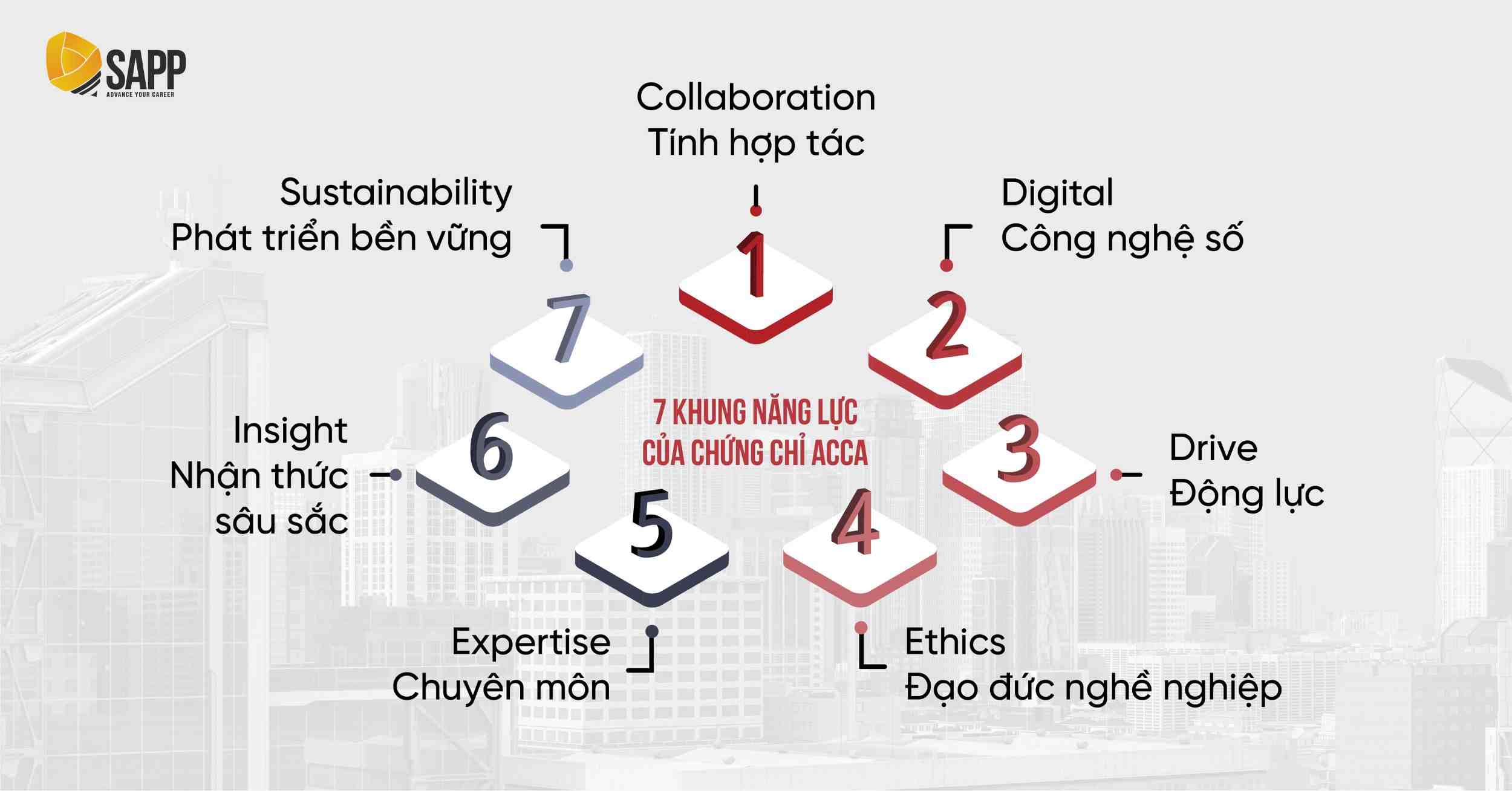 7 khung năng lực của chứng chỉ ACCA 7 khung năng lực của chứng chỉ ACCA