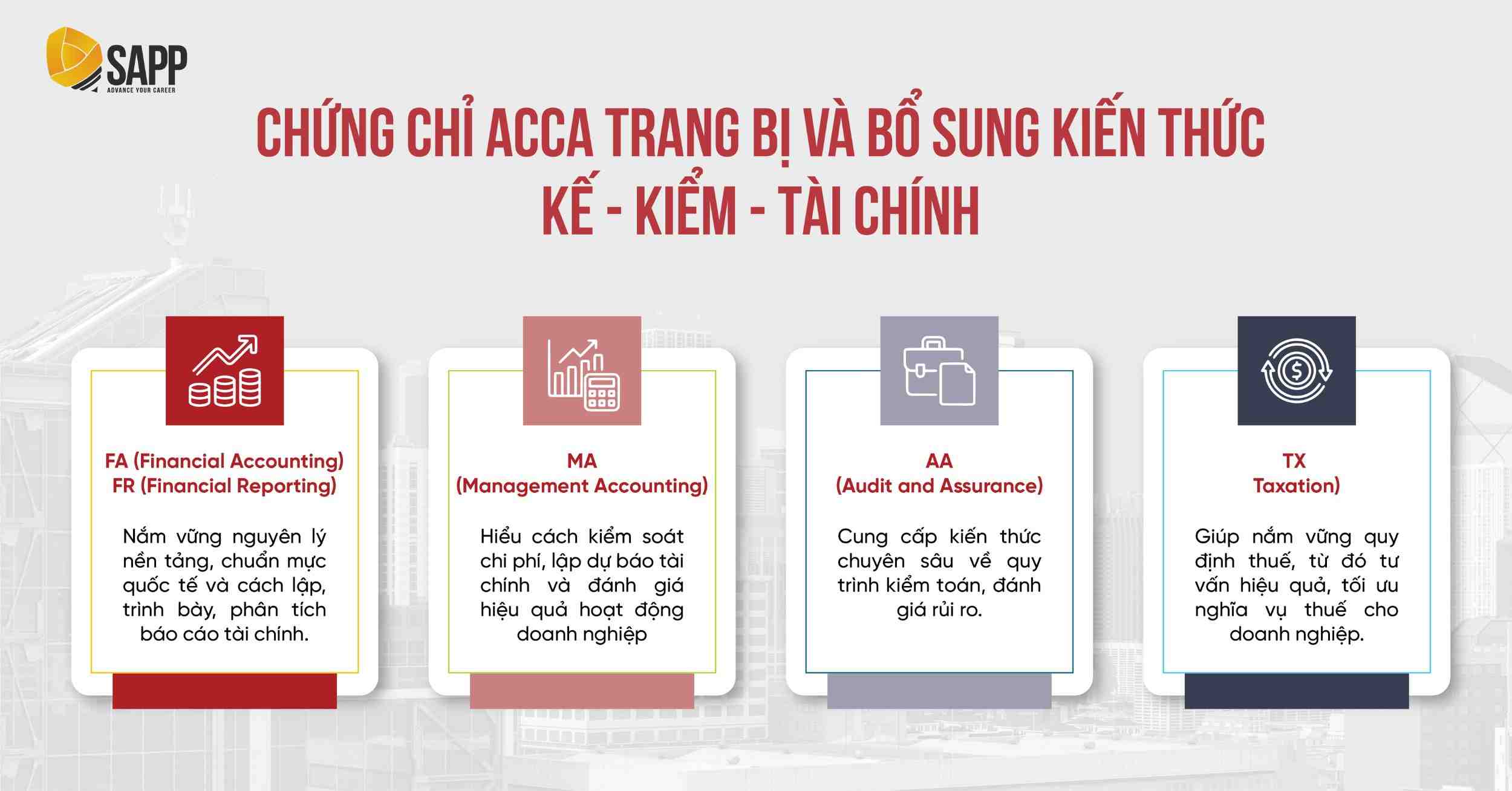 Học ngành gì để vào Big4? Bổ sung kiến thức với chứng chỉ ACCA 