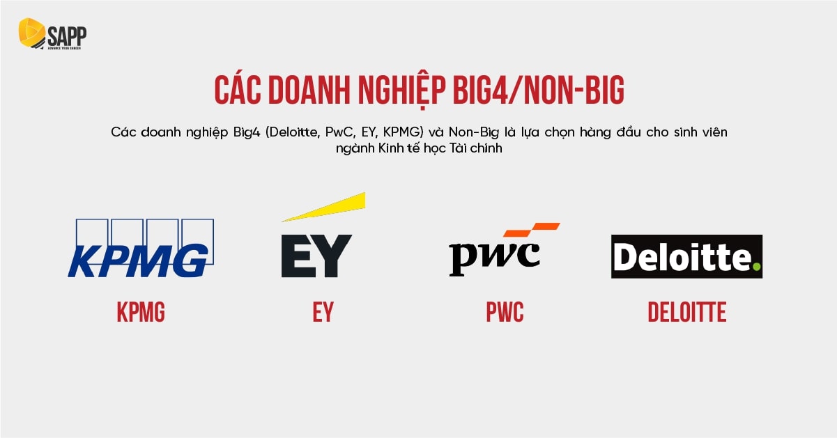 Kinh tế học Tài chính ra làm gì? Làm việc tại các doanh nghiệp Big4/Non-Big Kinh tế học Tài chính ra làm gì? Làm việc tại các doanh nghiệp Big4/Non-Big