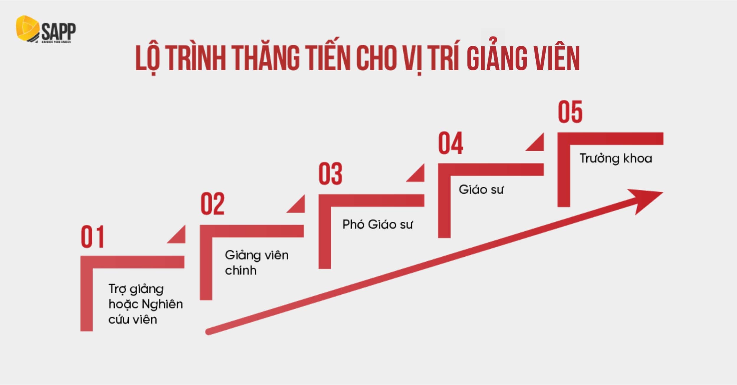 Lộ trình thăng tiến cho vị trí giảng dạy Lộ trình thăng tiến cho vị trí giảng dạy
