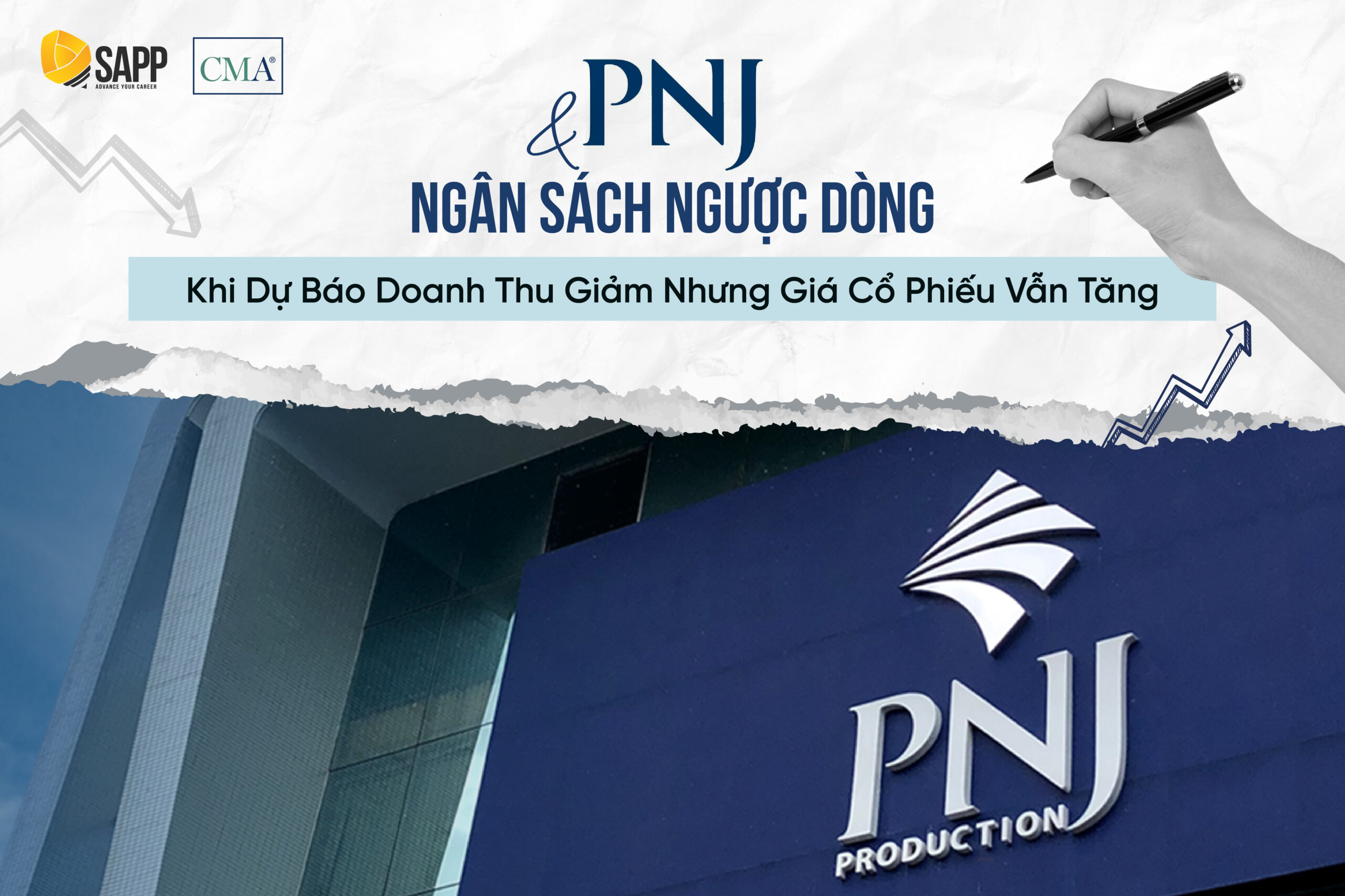 cover-case-study-pnj