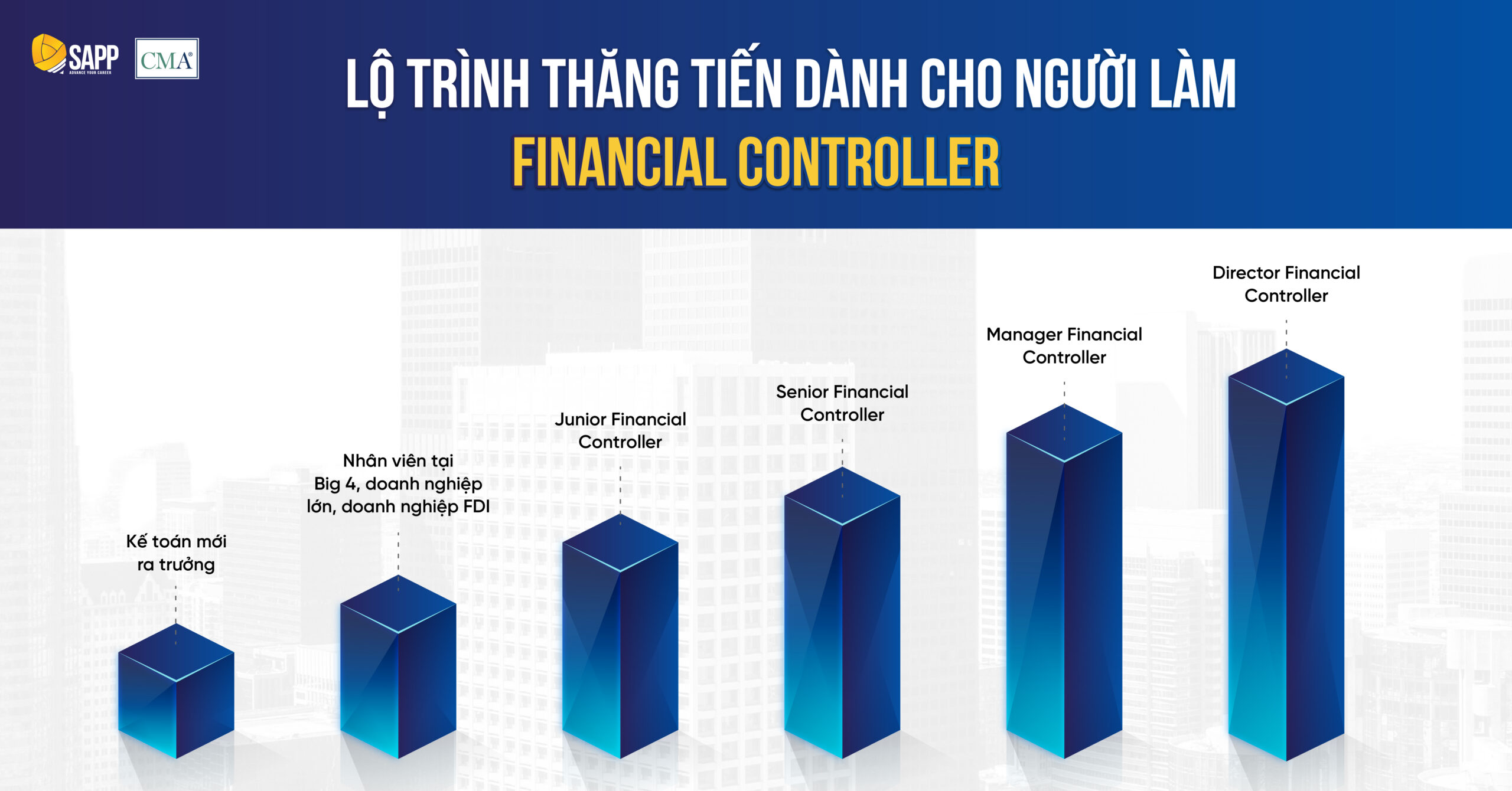 financial-controller-bieu-do-nghe-nghiep