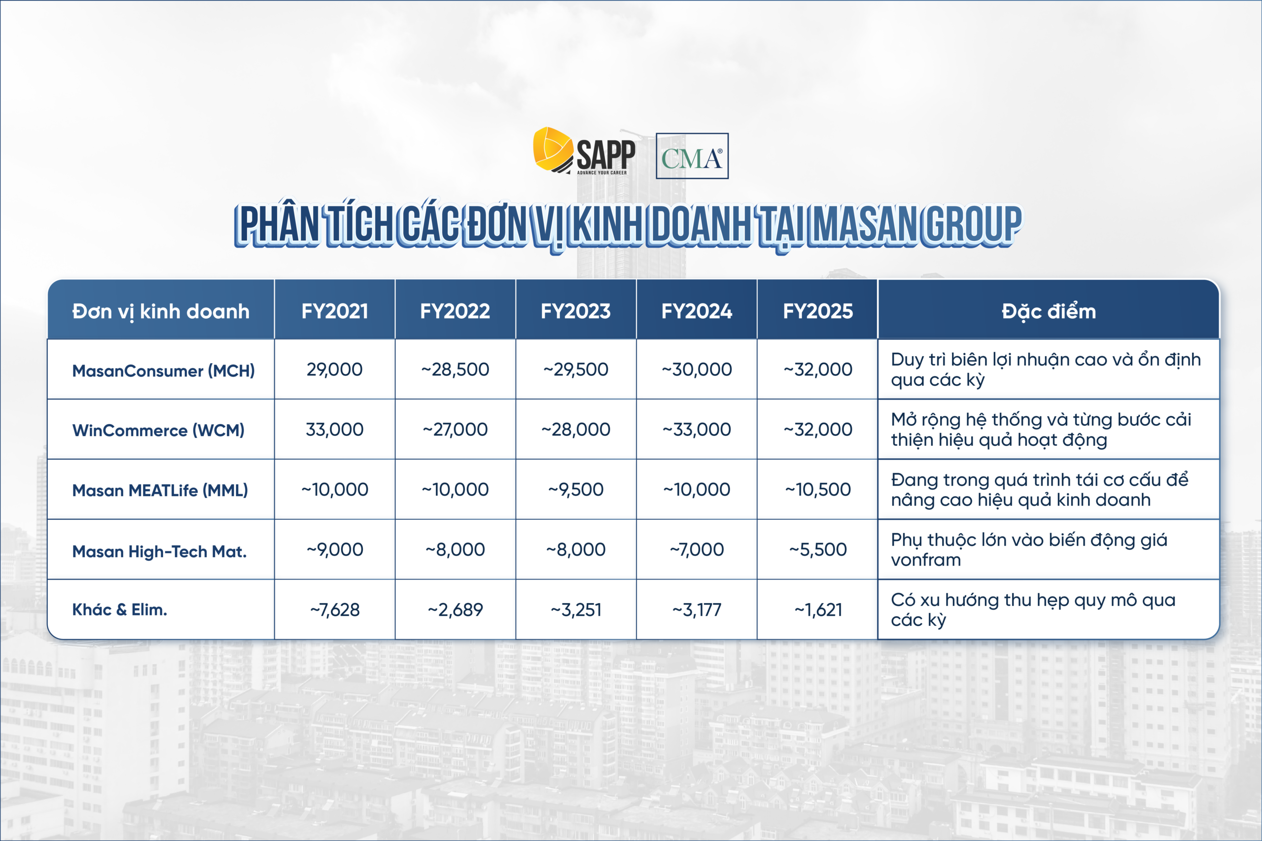 phan-tich-theo-phan-khuc-income-statement