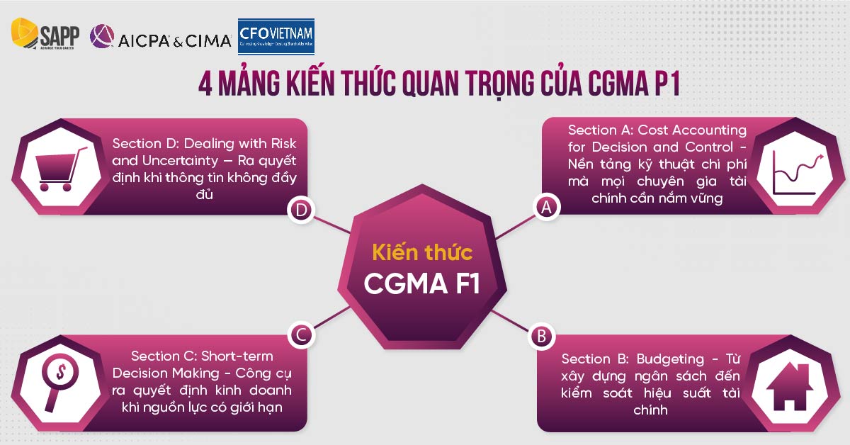 4 mảng kiến thức cốt lõi của môn học CGMA P1