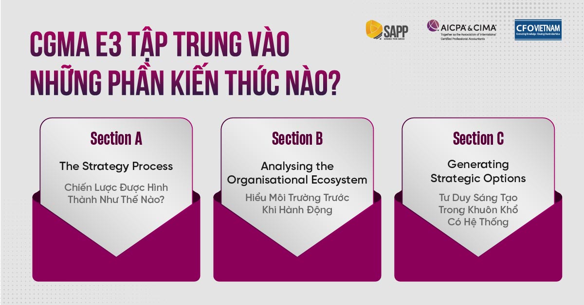 CGMA E3 tập trung vào những phần kiến thức nào?