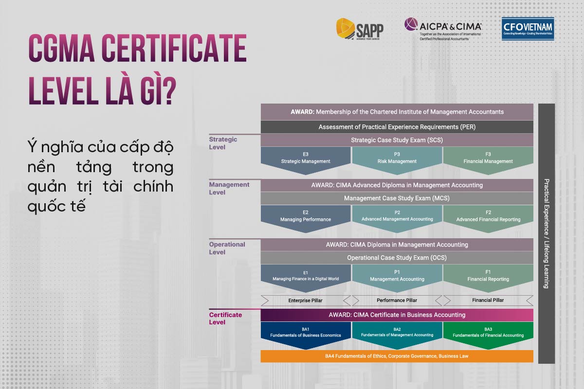 CGMA Certificate Level là gì? Ý nghĩa của cấp độ nền tảng trong quản trị tài chính quốc tế